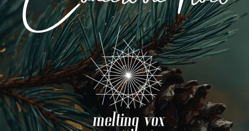 Christmas Concert on 7 December 2025 in Auderghem